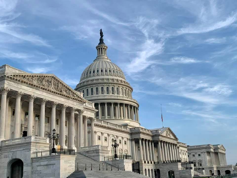 advocacy